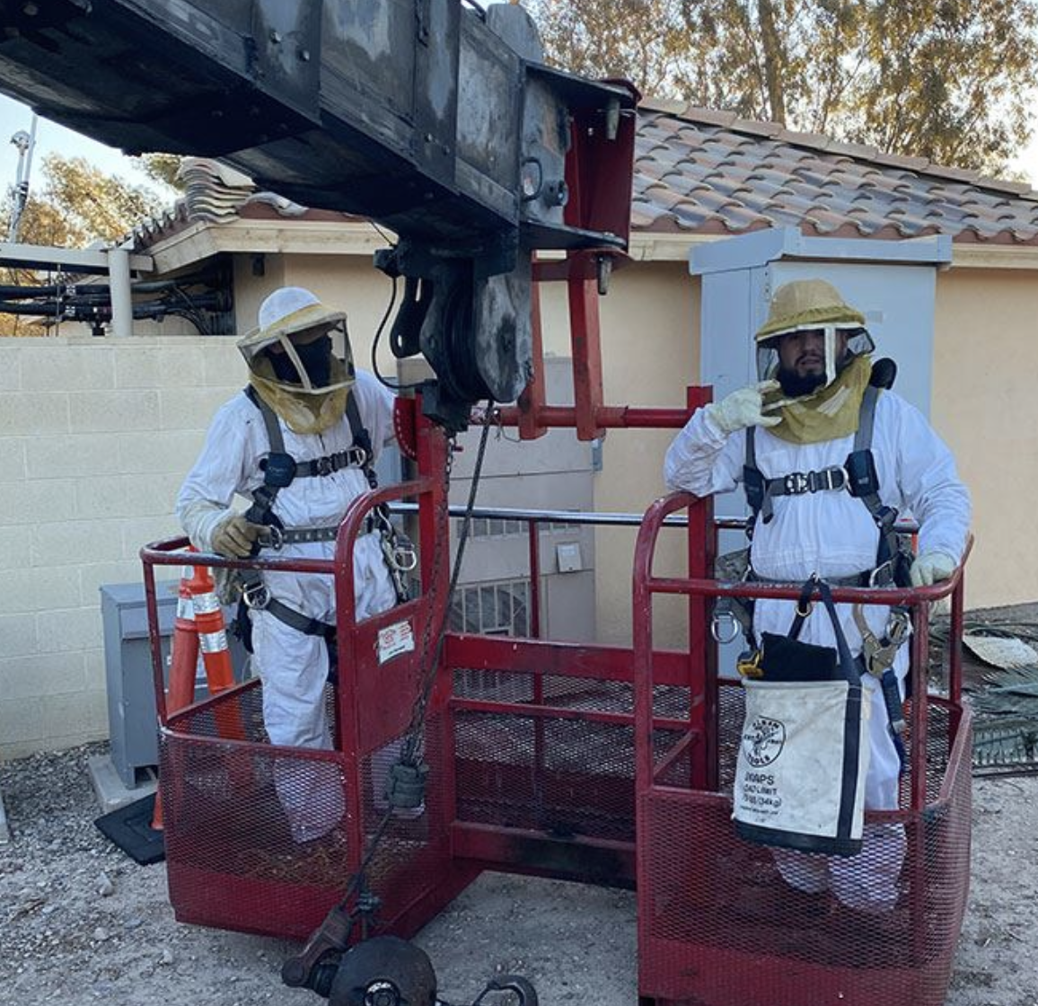 Anderson Pest Control