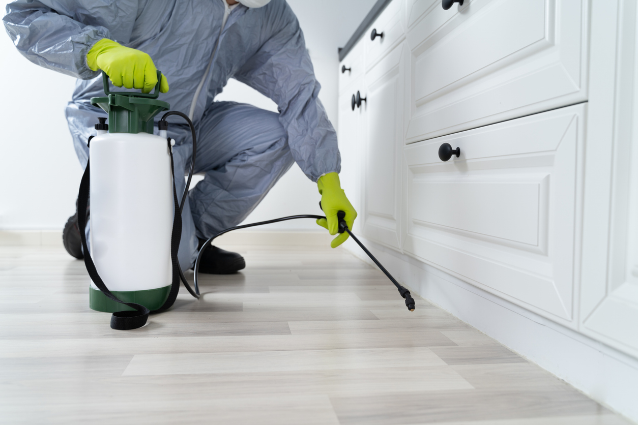 Technician spraying the baseboards with a stainless and odorless product.