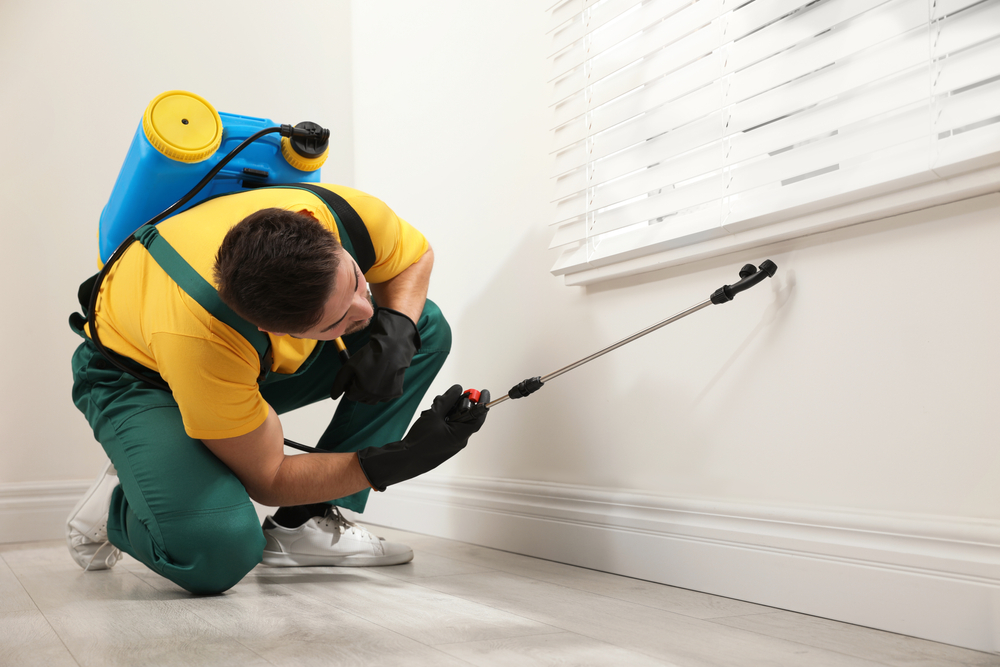 A technician spraying around a window in a Las Vegas home.