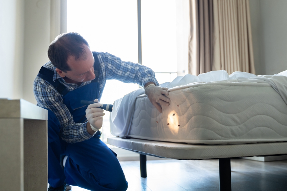 Technician doing a bedbug inspection in a hotel room.