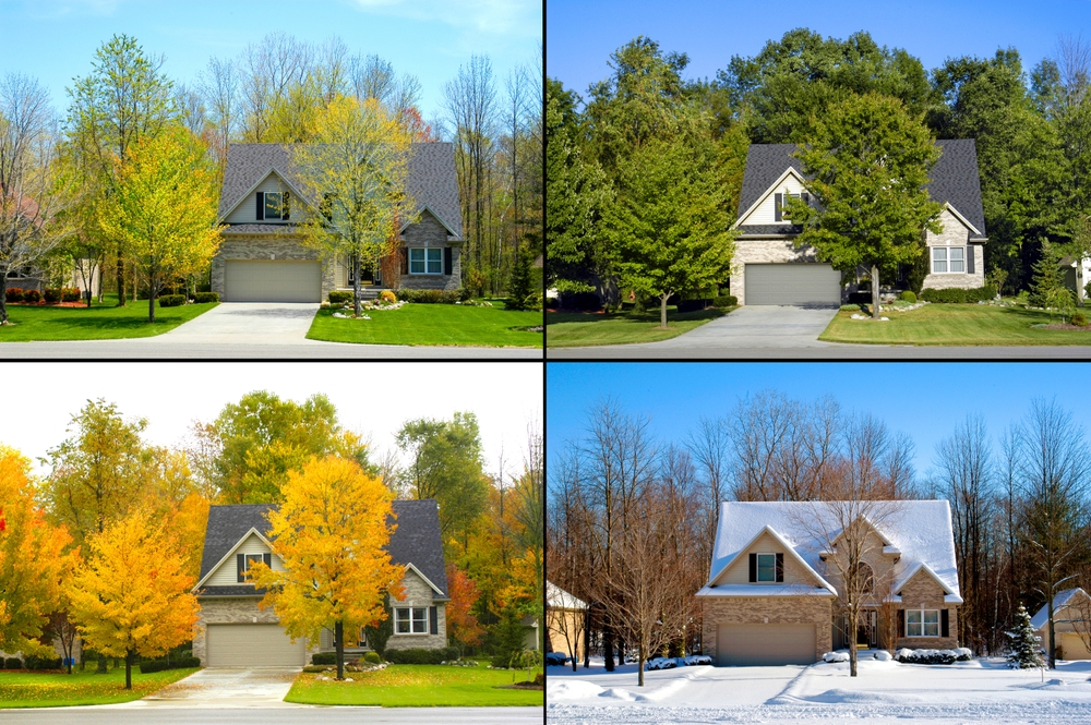A home presenting year round pest control service.