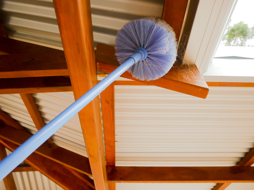 A technician removing a spiderweb.