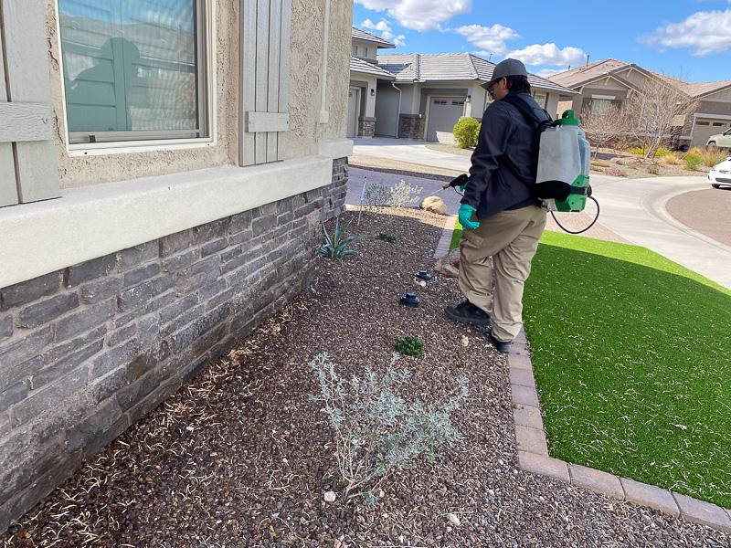 A licensed technician treating the exterior foundations of a home.